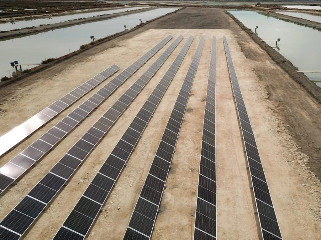 fotovoltaica-cultivos